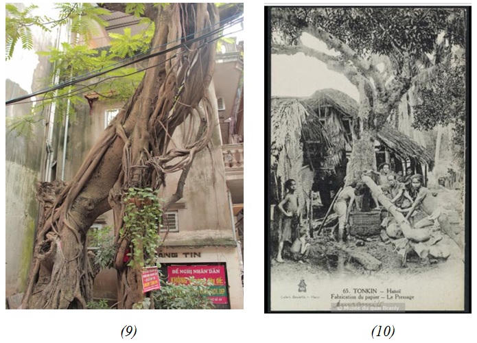 Về làng Yên Thái xem nghề làm giấy cổ xưa