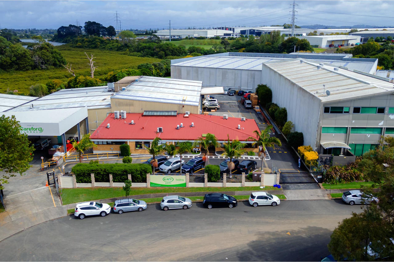 Bí quyết đằng sau chất lượng vượt trội của sữa New Zealand