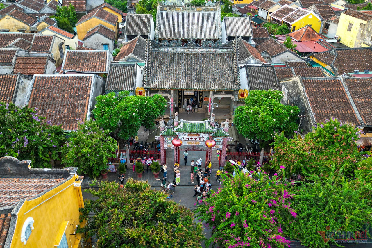 Cận cảnh con đường dài 1km ở Hội An vừa lọt top đẹp nhất thế giới