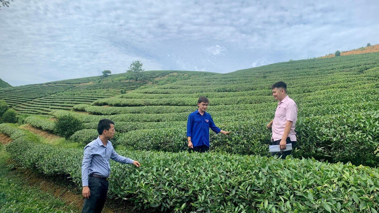 Huyện Anh Sơn đầu tư vốn chính sách đúng đối tượng, sát thực tế