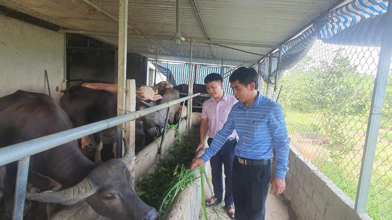 Huyện Anh Sơn đầu tư vốn chính sách đúng đối tượng, sát thực tế