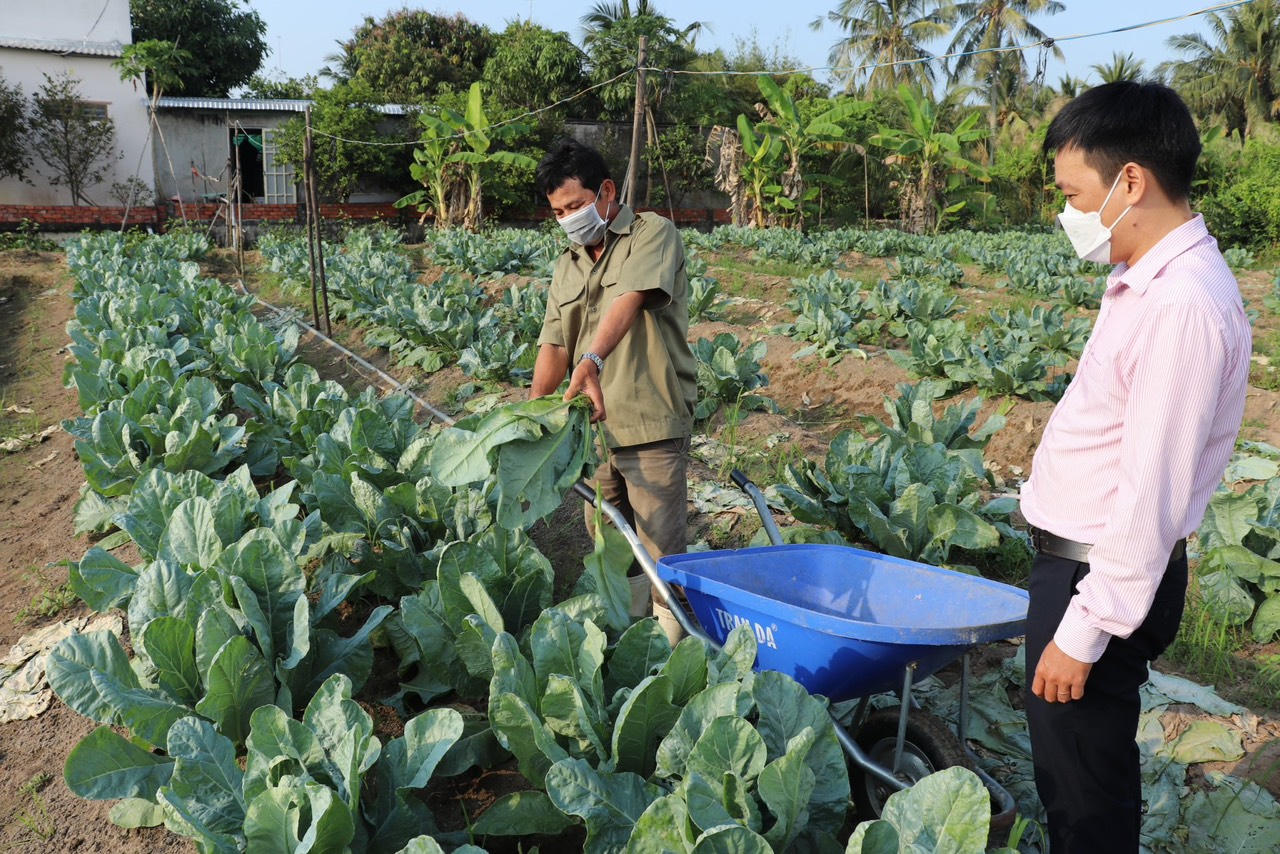 Bạc Liêu trở thành điểm sáng giảm nghèo, xây dựng nông thôn mới nhờ nguồn vốn tín dụng