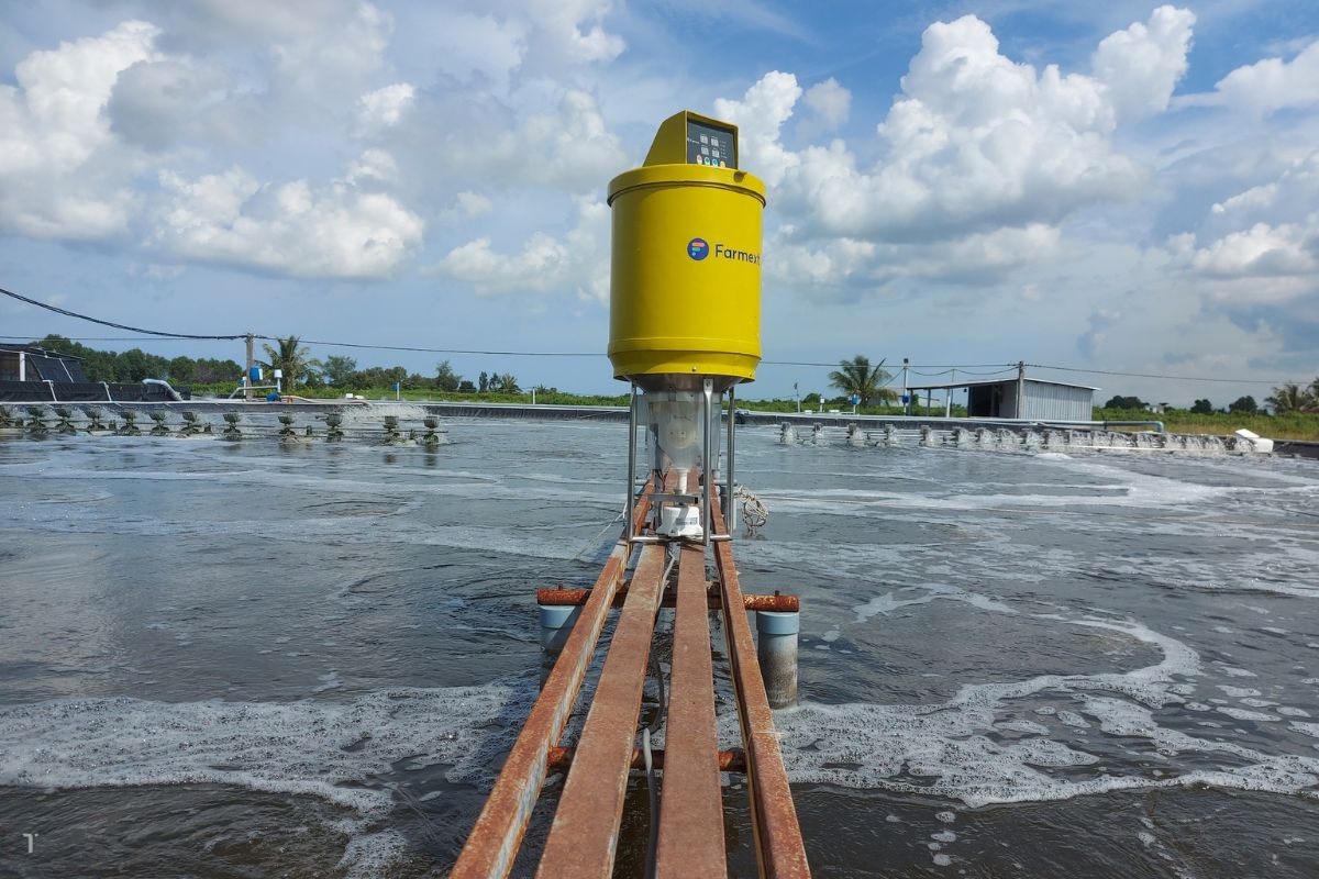 Bạc Liêu trở thành điểm sáng giảm nghèo, xây dựng nông thôn mới nhờ nguồn vốn tín dụng