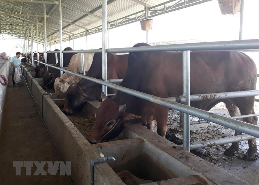 Hiệu quả tín dụng chính sách nhìn từ Ninh Thuận