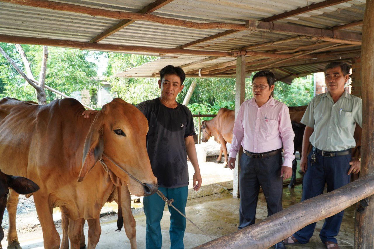 Tín dụng chính sách và hành trình thu về “trái ngọt” trên vùng đất đỏ Tây Ninh