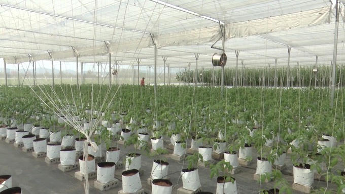 Cách làm hay, sáng tạo trong hoạt động tín dụng chính sách ở Quỳnh Lưu