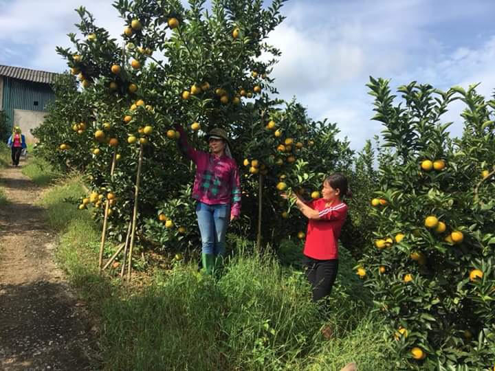 Tín dụng chính sách nỗ lực “không để ai bị bỏ lại phía sau”