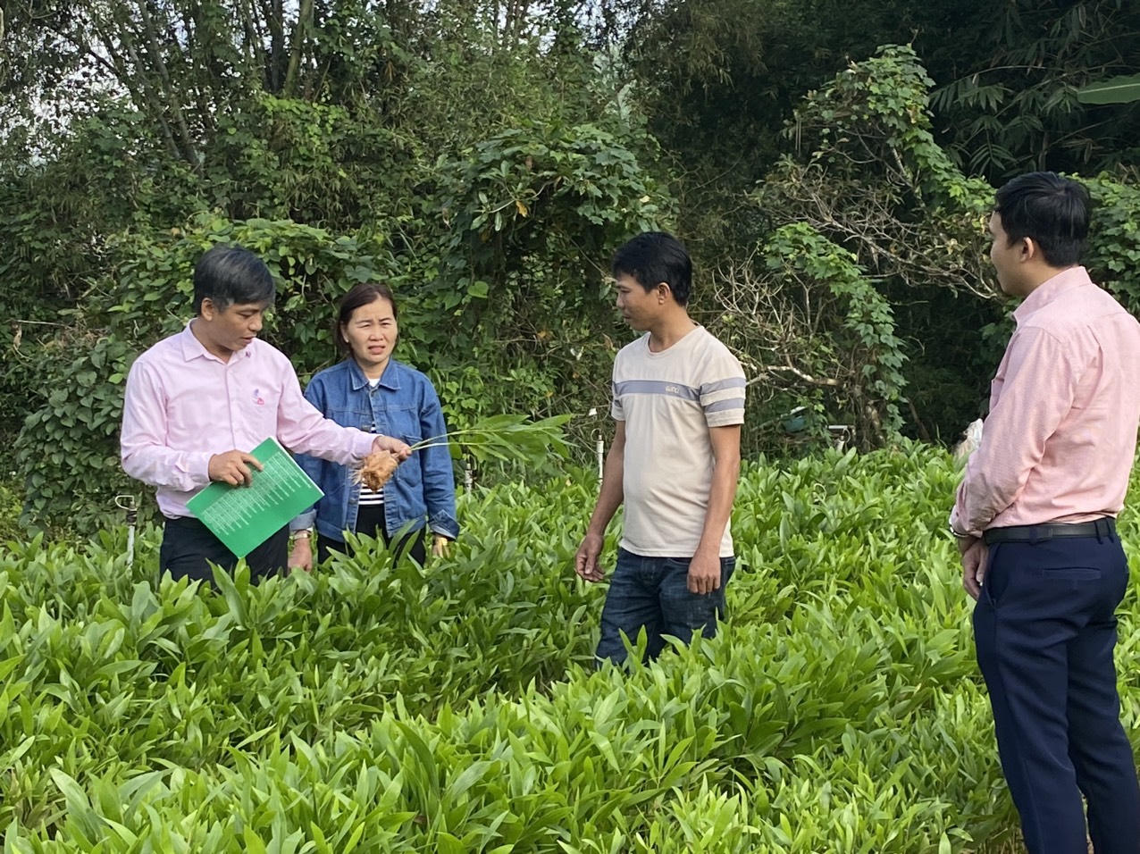 Truyền tải nguồn vốn chính sách trên vùng đất núi Ấn sông Trà - Quảng Ngãi