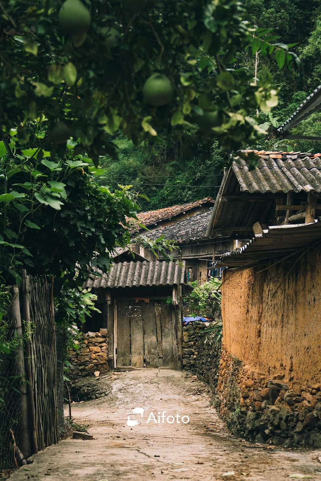 Làm gì trước dân số vàng nhưng đang già?