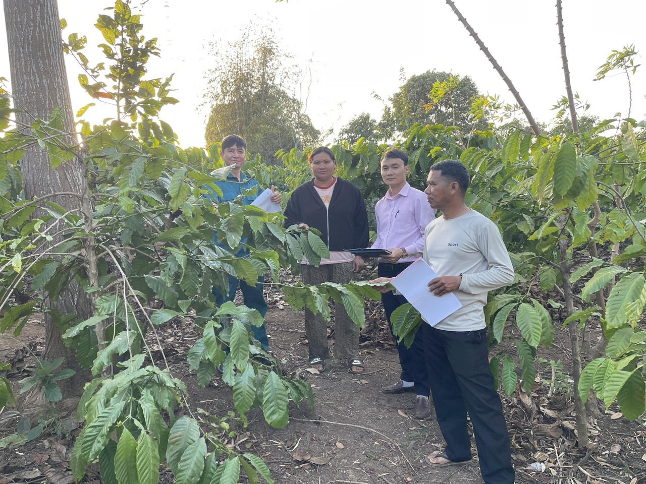 Nguồn vốn tín dụng 'đánh thức' vùng đất Chư Sê