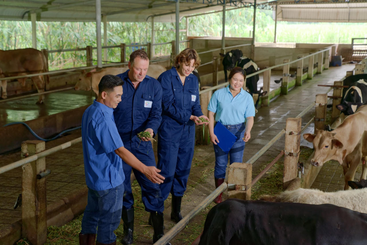 Doanh nghiệp sữa Cô gái Hà Lan ghi dấu ấn với “cú đúp” giải thưởng phát triển bền vững 2024