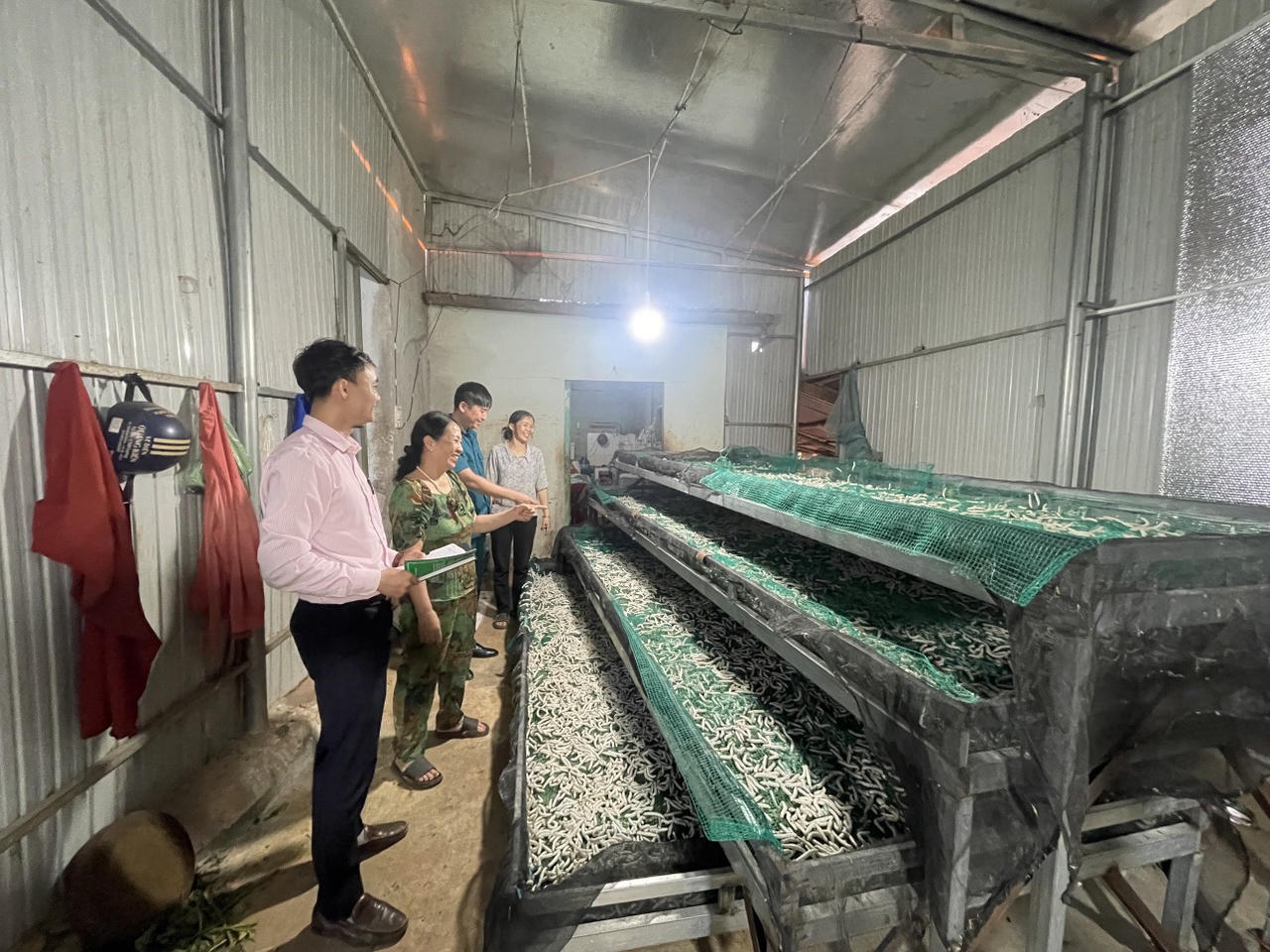 Nguồn vốn tín dụng 'đánh thức' vùng đất Chư Sê