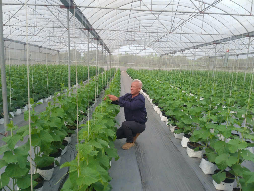 Tín dụng chính sách 'lực đẩy' mạnh mẽ cho nông thôn Hưng Yên phát triển