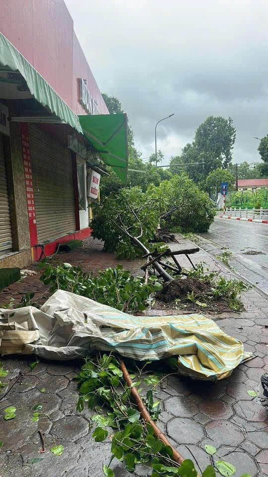 Đường phố Hà Nội tan hoang sau khi siêu bão Yagi đi qua