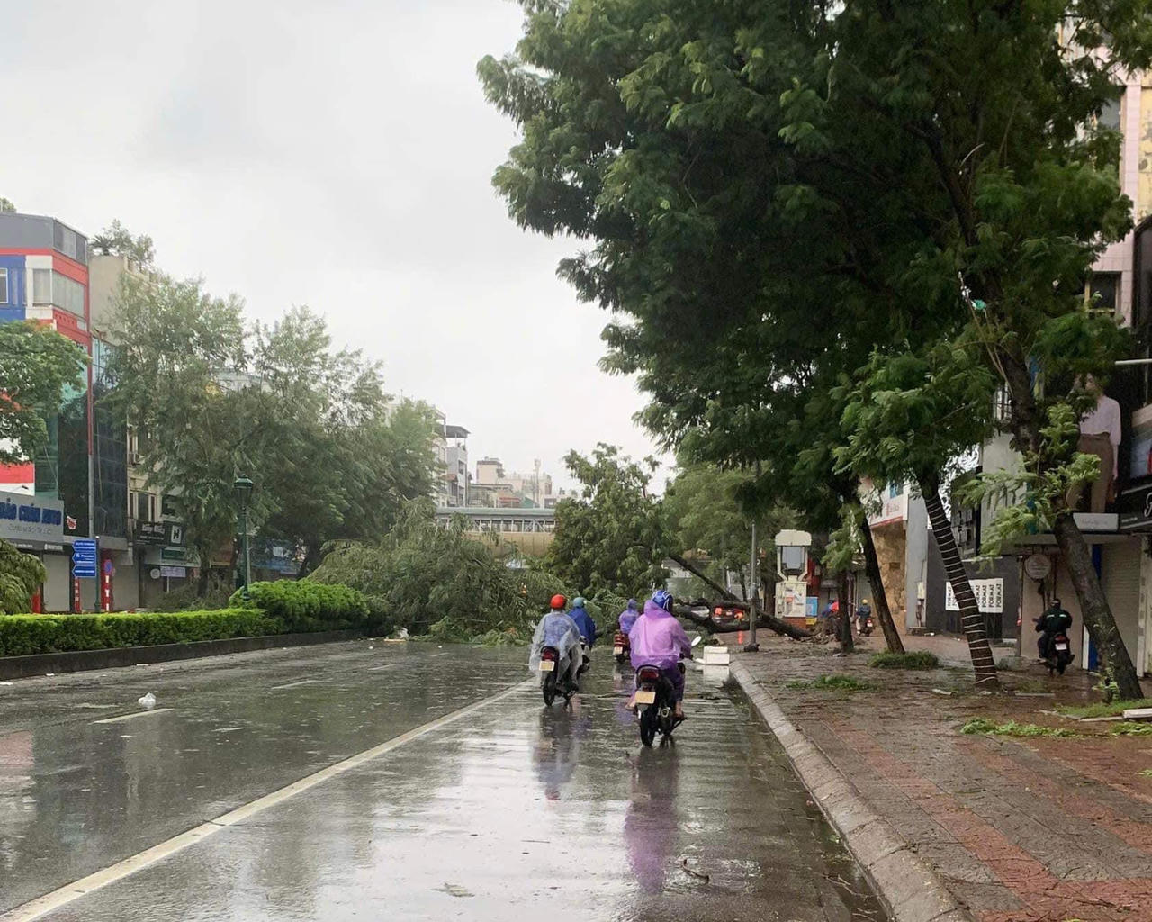 Đường phố Hà Nội tan hoang sau khi siêu bão Yagi đi qua