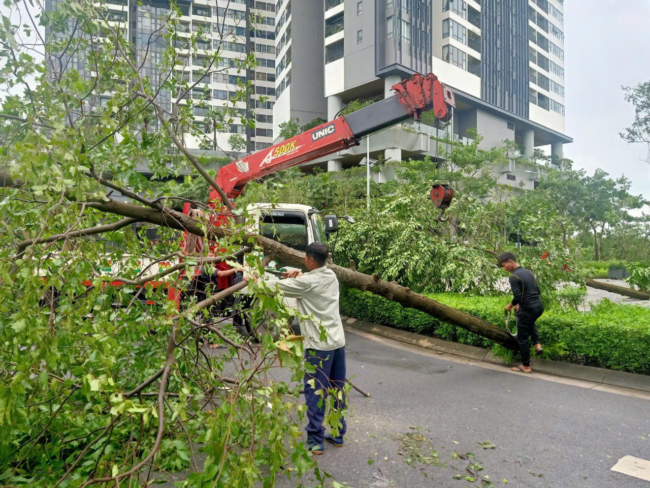 Đường phố Hà Nội tan hoang sau khi siêu bão Yagi đi qua