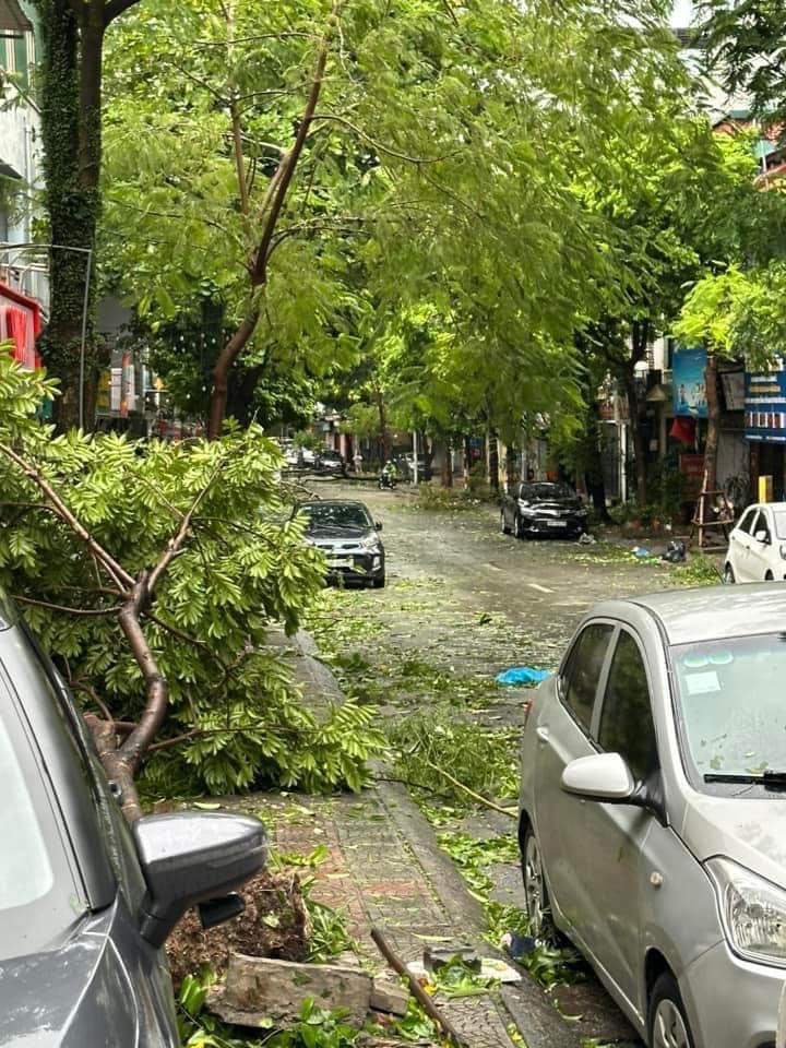 Đường phố Hà Nội tan hoang sau khi siêu bão Yagi đi qua