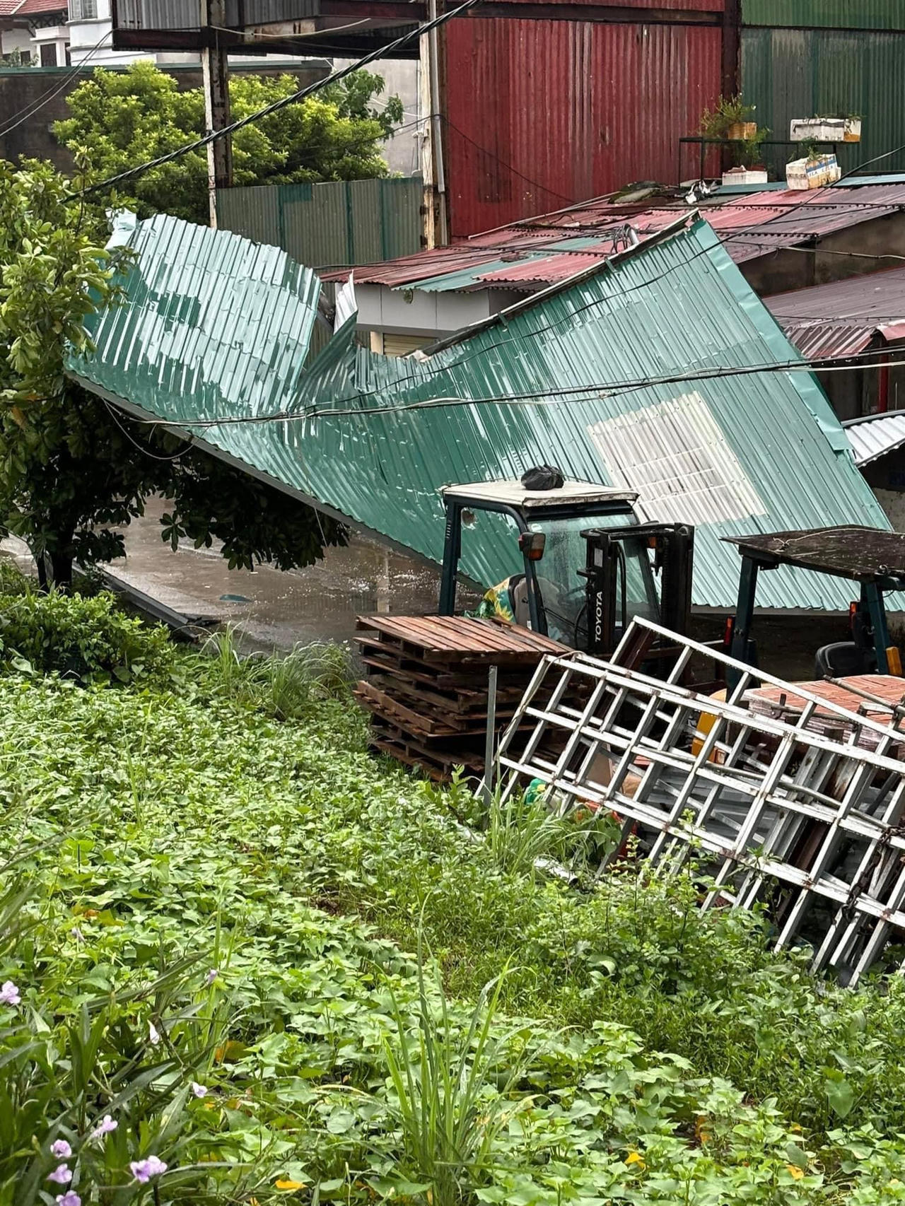 Đường phố Hà Nội tan hoang sau khi siêu bão Yagi đi qua