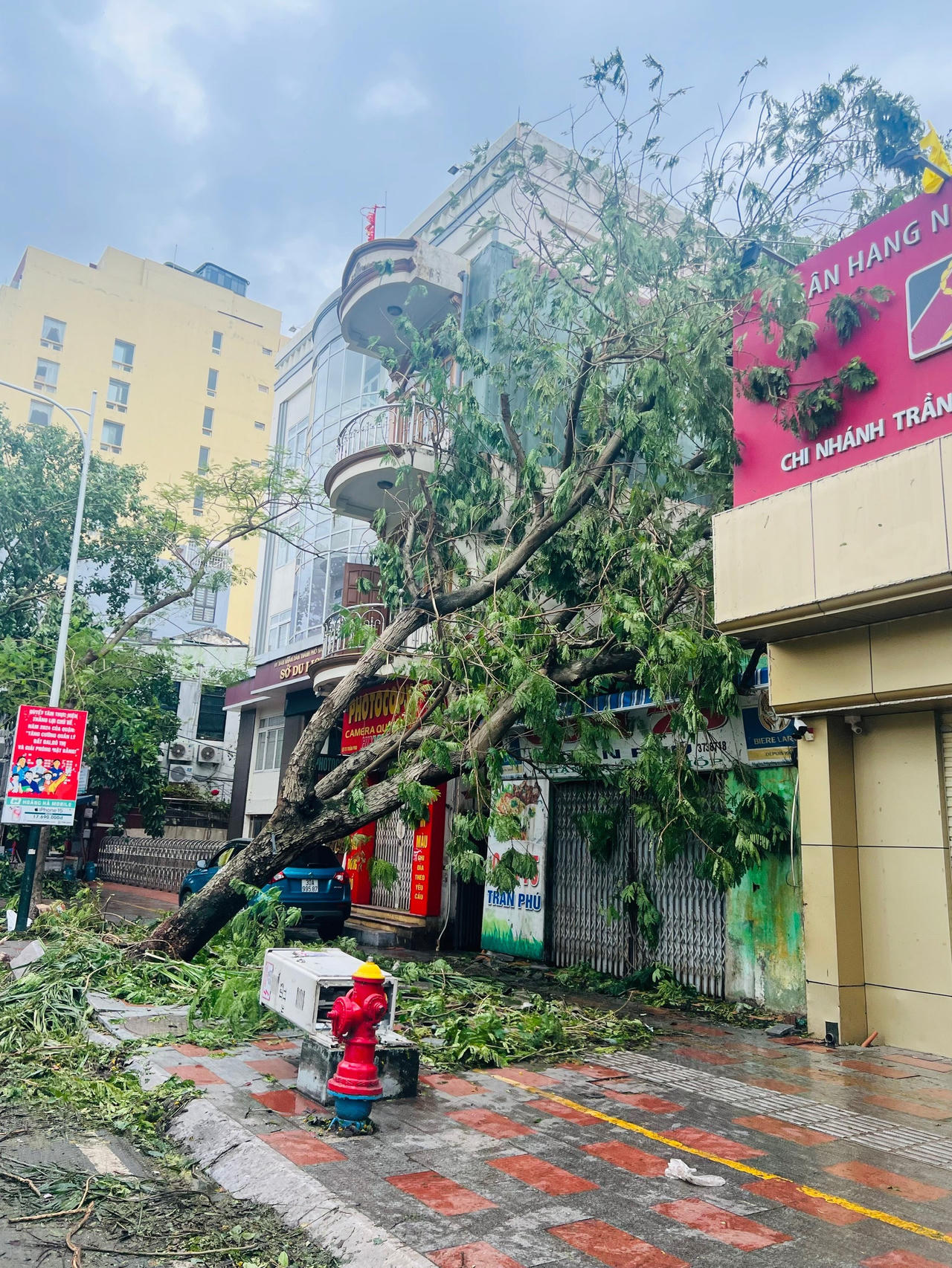 Hải Phòng: Hoãn các cuộc họp không cần thiết, tập trung xử lý khắc phục bão số 3