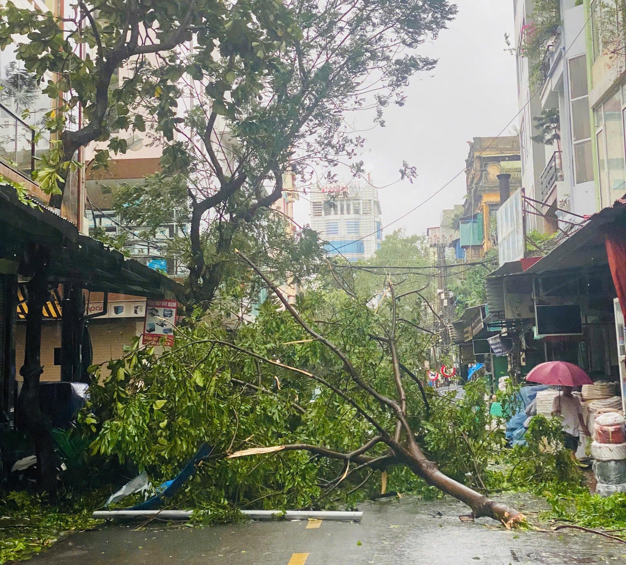 Hải Phòng: Hoãn các cuộc họp không cần thiết, tập trung xử lý khắc phục bão số 3