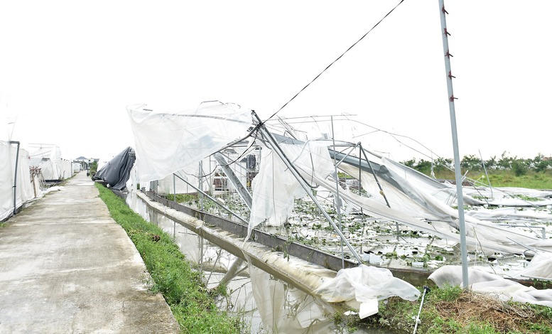 Phó Thủ tướng Lê Thành Long kiểm tra công tác khắc phục hậu quả bão số 3 tại Hải Dương