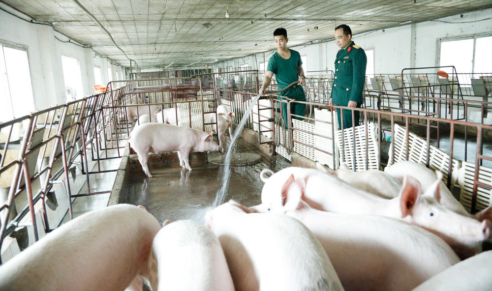 Quân khu 1: Phát huy phẩm chất Bộ đội Cụ Hồ ở Sư đoàn 306