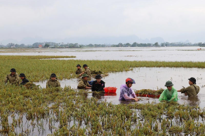 Chủ trương mạnh mẽ: 'Đồng hành lúc dân cần, khi dân khó'