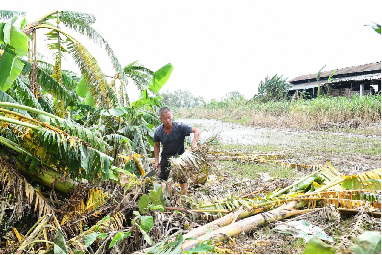 Sữa Cô Gái Hà Lan 'gom nắng sau bão', hỗ trợ người dân phía Bắc vững vàng khắc phục hậu quả thiên tai