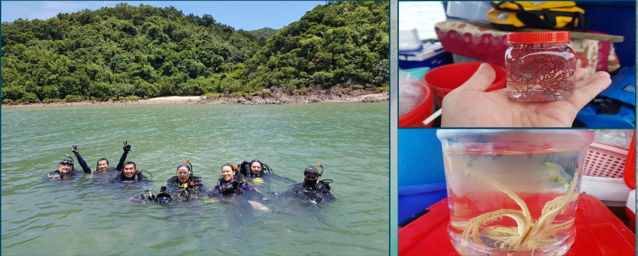 Kết nối các Vườn di sản ASEAN Việt Nam