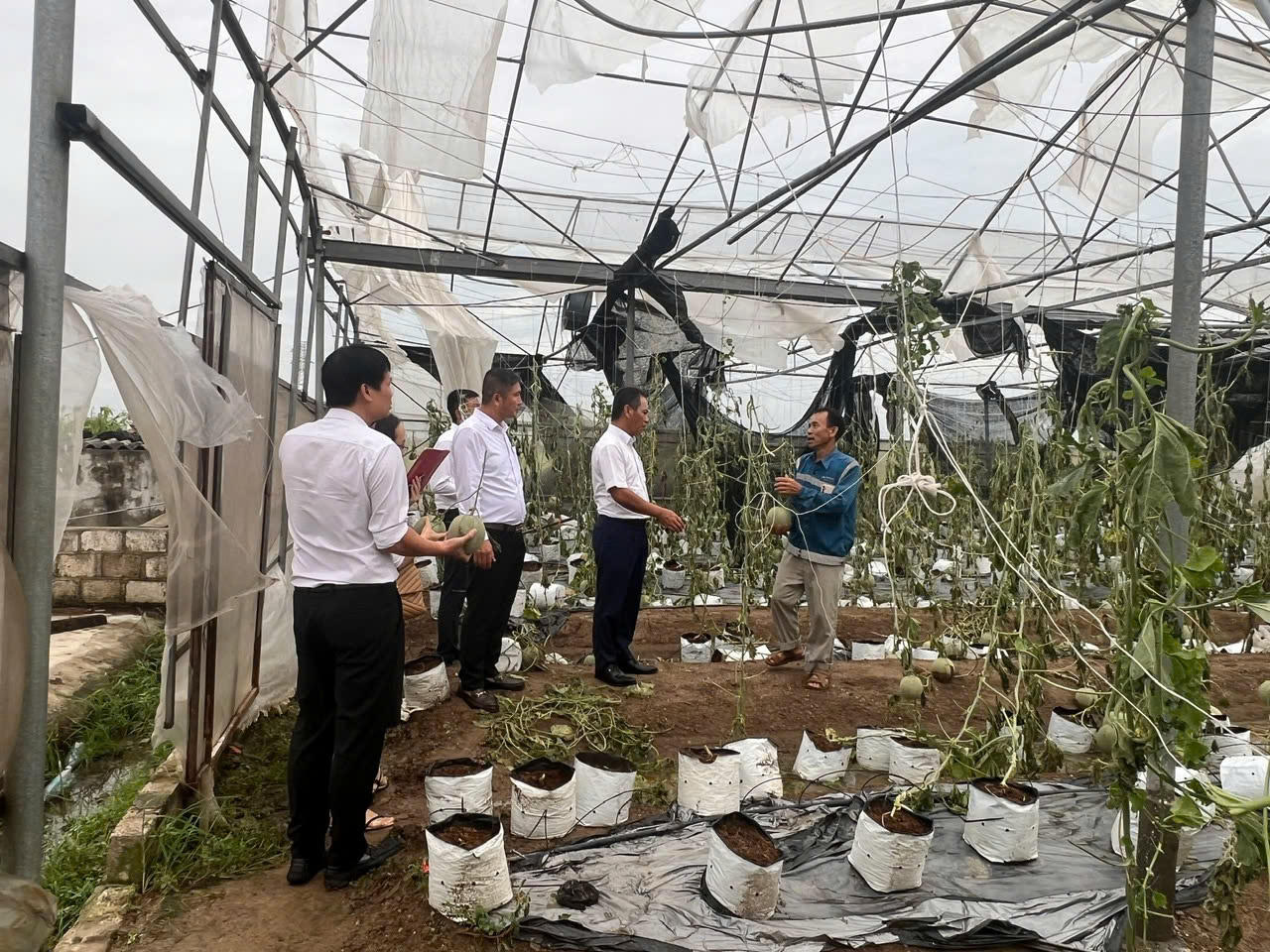 Agribank ưu đãi lãi vay đối với khách hàng bị thiệt hại do bão số 3 và lũ lụt sau bão