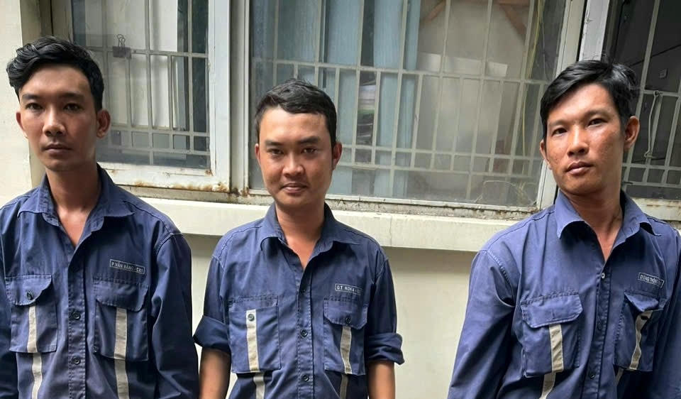 Chặt 9 cây cau kiểng, Phó giám đốc và ba người làm thuê bị bắt 