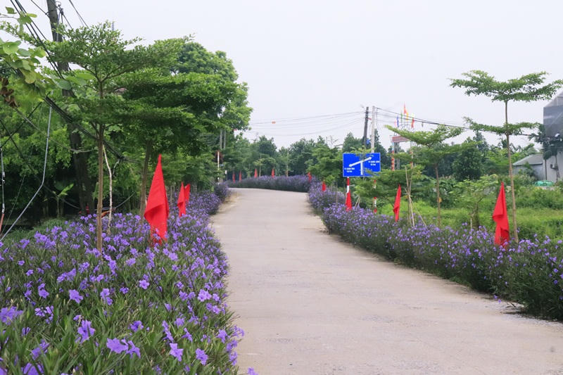 Chương Mỹ (Hà Nội): Đẩy mạnh xây dựng nông thôn mới, nâng cao đời sống cho người dân