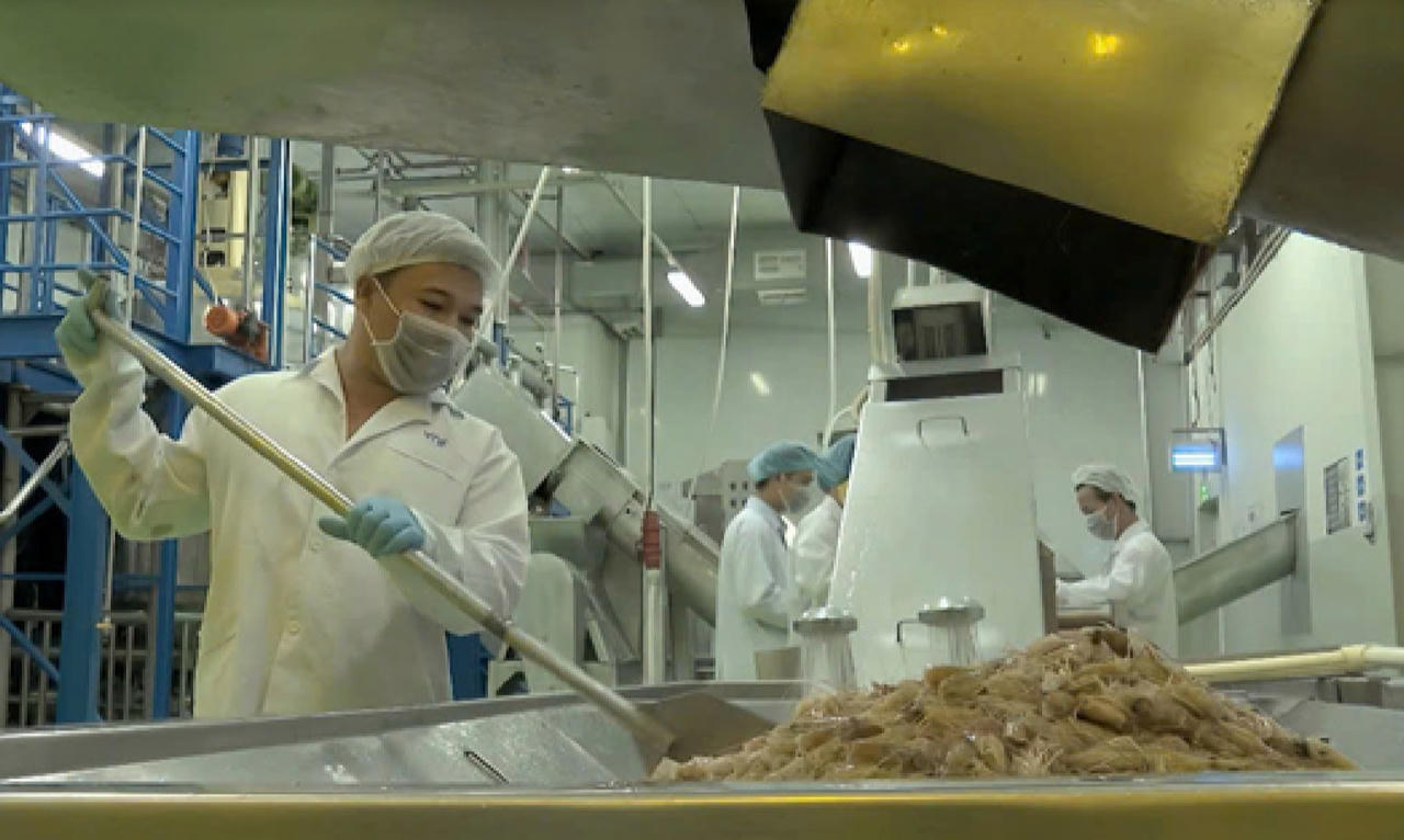 Khơi thông dòng chảy kinh tế xanh - Bài 2: Cái khó của những người tiên phong 