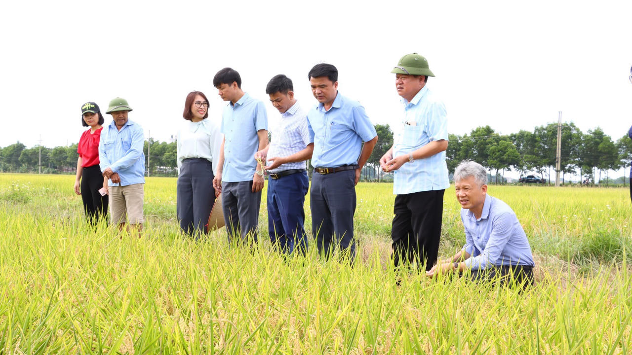 Chương trình Nông Thôn Mới: 'Cú hích' đưa Ứng Hòa vươn mình đổi mới