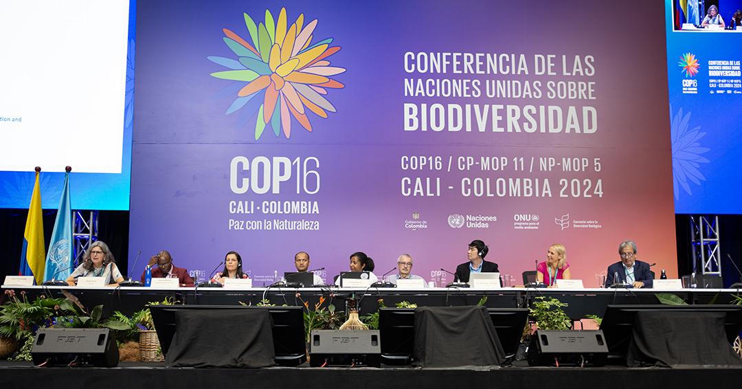 Hòa bình với thiên nhiên