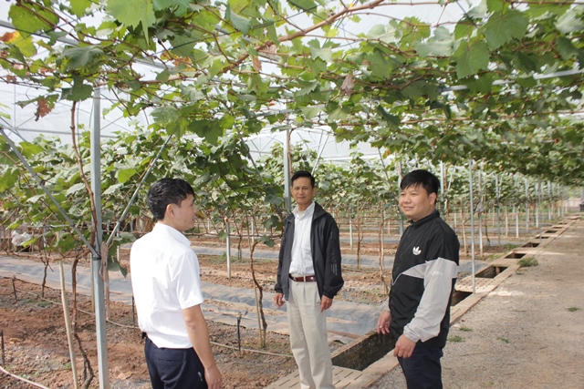 Xã Thanh Mai tập trung xây dựng nông thôn mới nâng cao