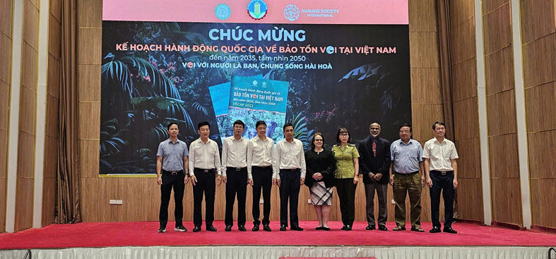 Kế hoạch hành động quốc gia bảo tồn voi đến năm 2035: Bảo đảm tương lai cho 'người bạn rừng xanh'