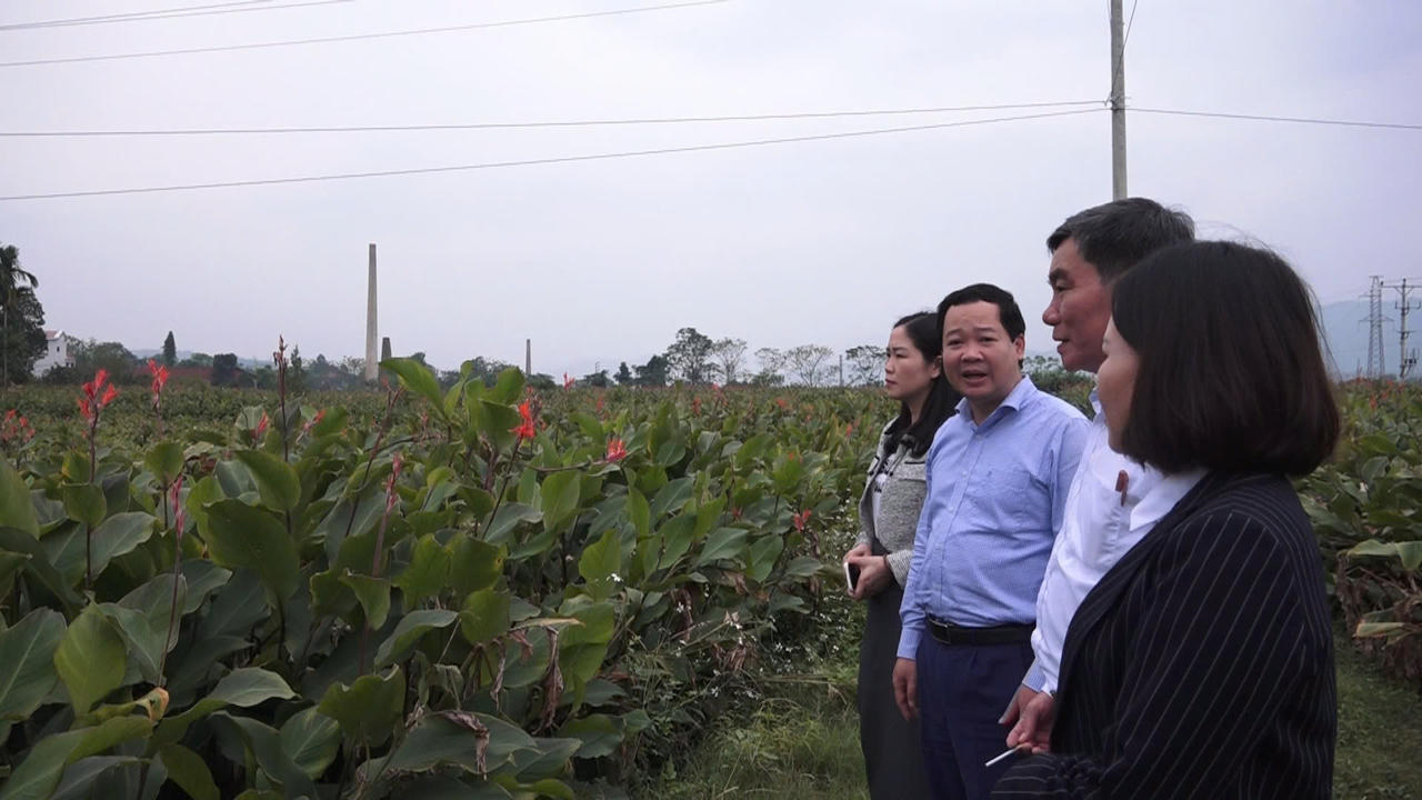 Thẩm định công nhận đạt chuẩn NTM nâng cao, NTM kiểu mẫu huyện Ba Vì 