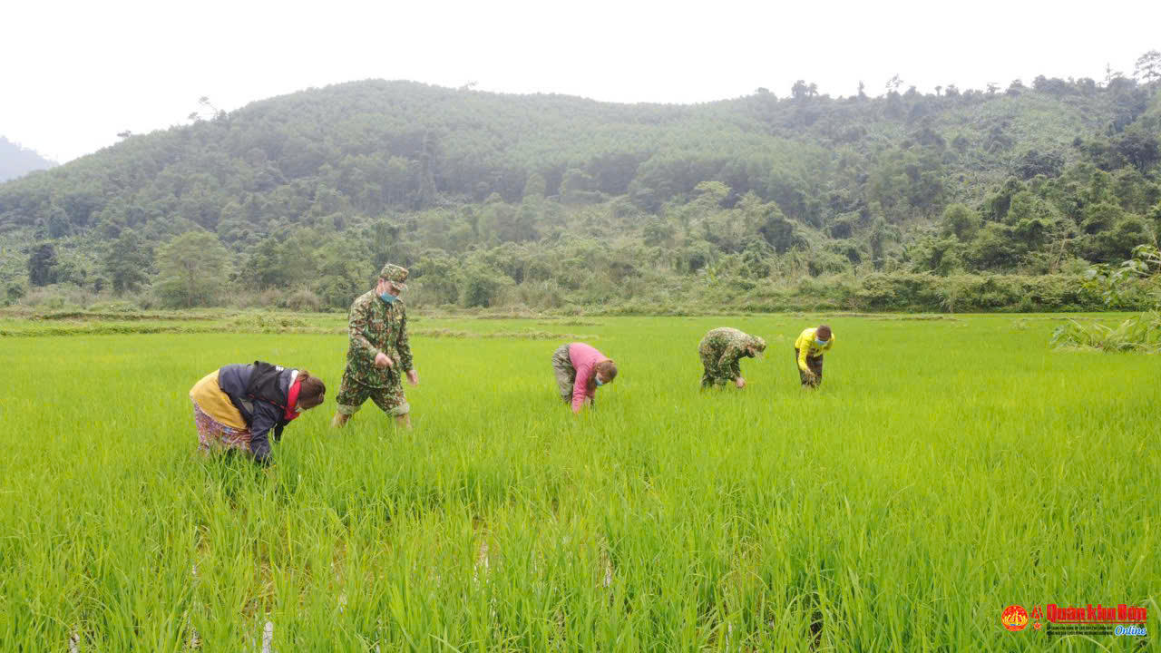 Tín dụng chính sách góp phần đưa Quảng Bình phát triển toàn diện