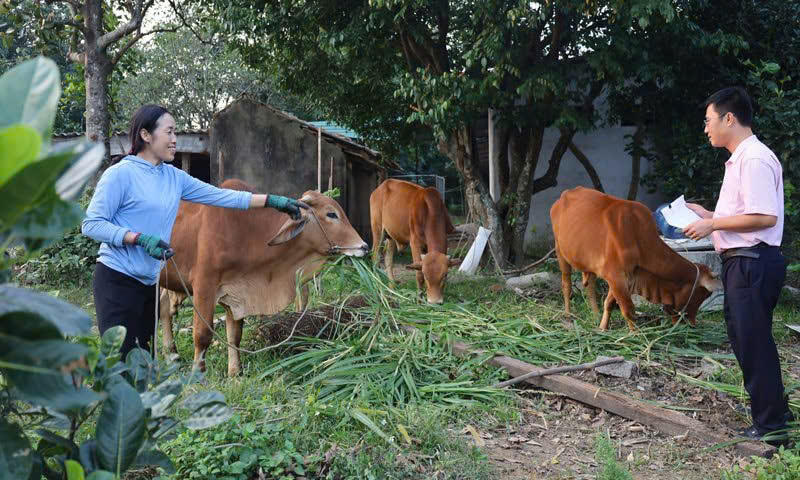 Tín dụng chính sách góp phần đưa Quảng Bình phát triển toàn diện