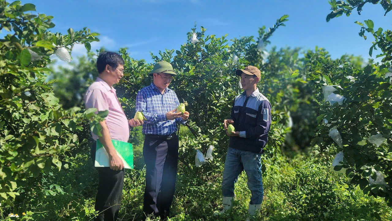 Tín dụng chính sách góp phần đưa Quảng Bình phát triển toàn diện