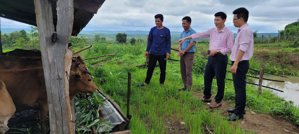Gia Lai: Tăng tốc giải ngân, lan toả hiệu quả tín dụng chính sách 