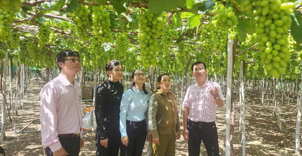 Nhịp sống mới ở miền quê cuối dãy Trường Sơn