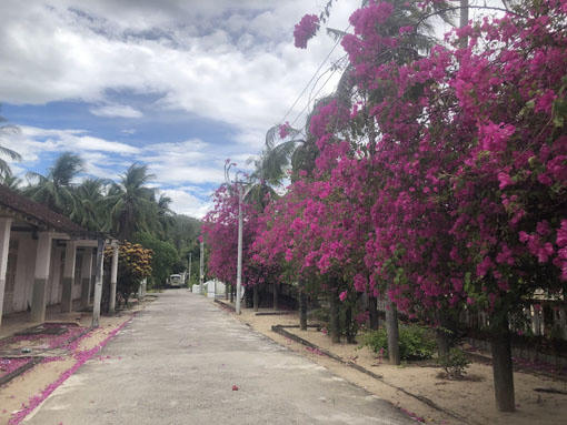 Cách người xưa đối diện với dịch bệnh và phòng, chữa bệnh