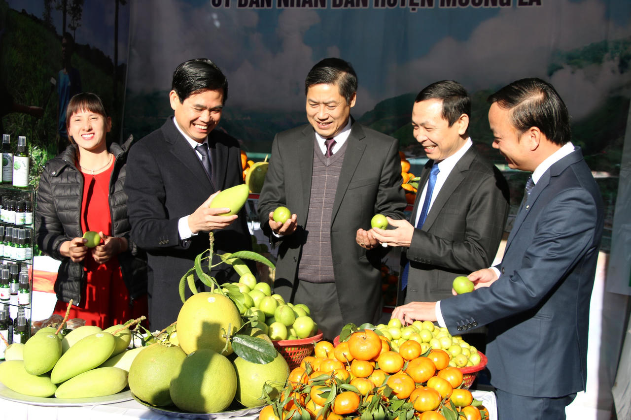 Ứng dụng công nghệ cao, 'cú hích' của ngành nông nghiệp Sơn La