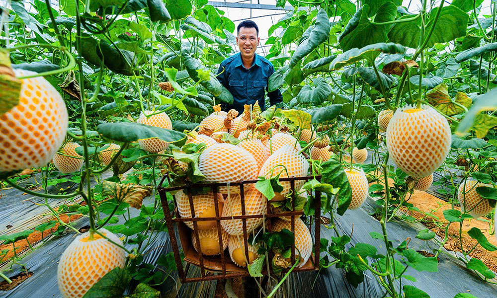 Tín dụng chính sách - 'Bệ phóng' phát triển KT-XH bền vững vùng trung du Bắc Giang