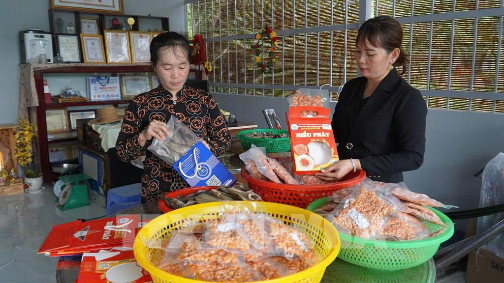 Tín dụng chính sách: Động lực thúc đẩy kinh tế - xã hội bền vững tại Kiên Giang