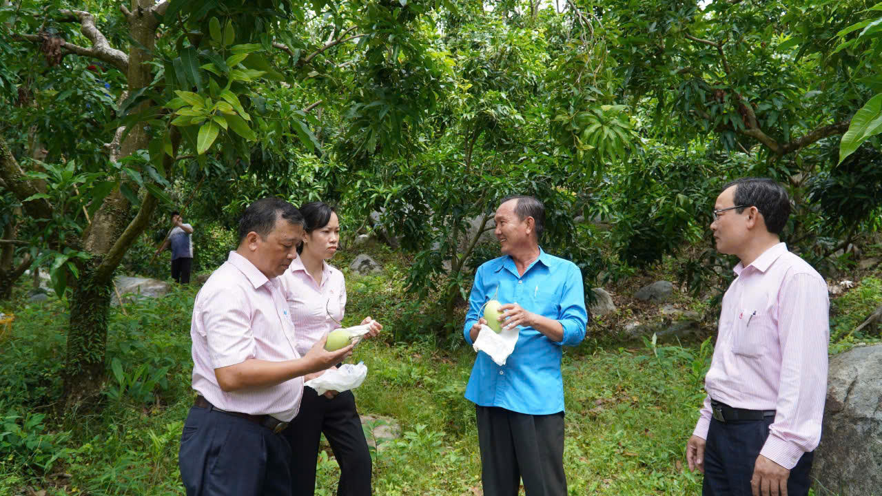 Tín dụng chính sách: Động lực thúc đẩy kinh tế - xã hội bền vững tại Kiên Giang