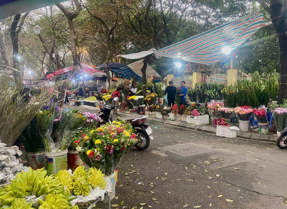 Bước chân mùa xuân trên khắp Việt Nam