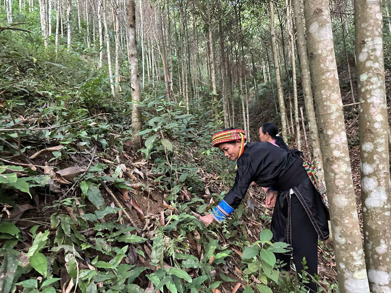 Hiệu quả tín dụng chính sách nơi vùng cao Bắc Kạn